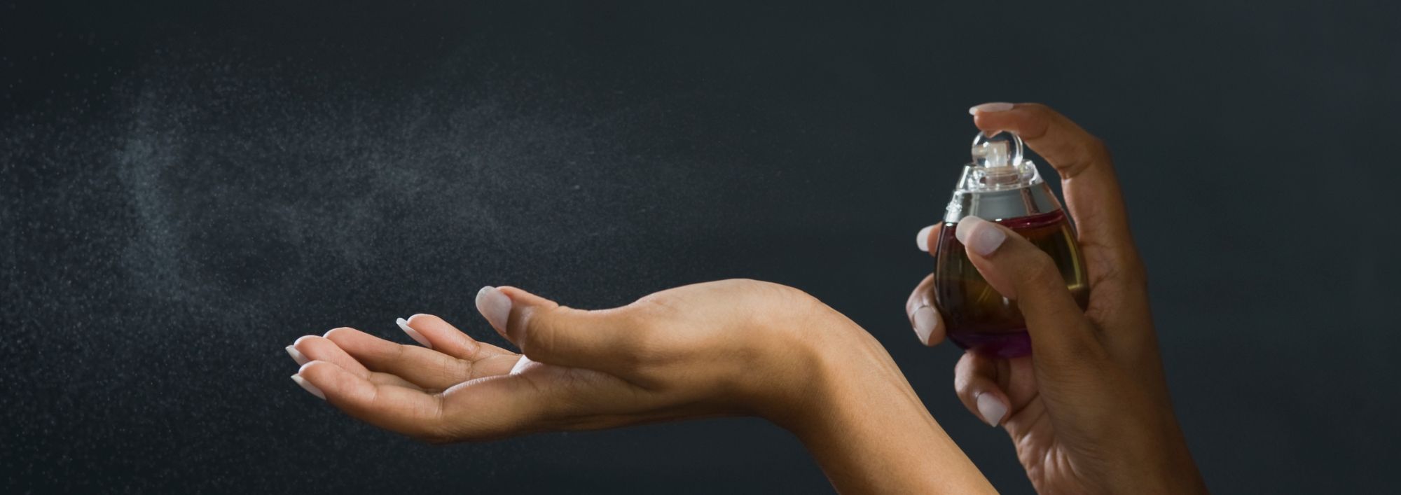 our dupe evening fragrances